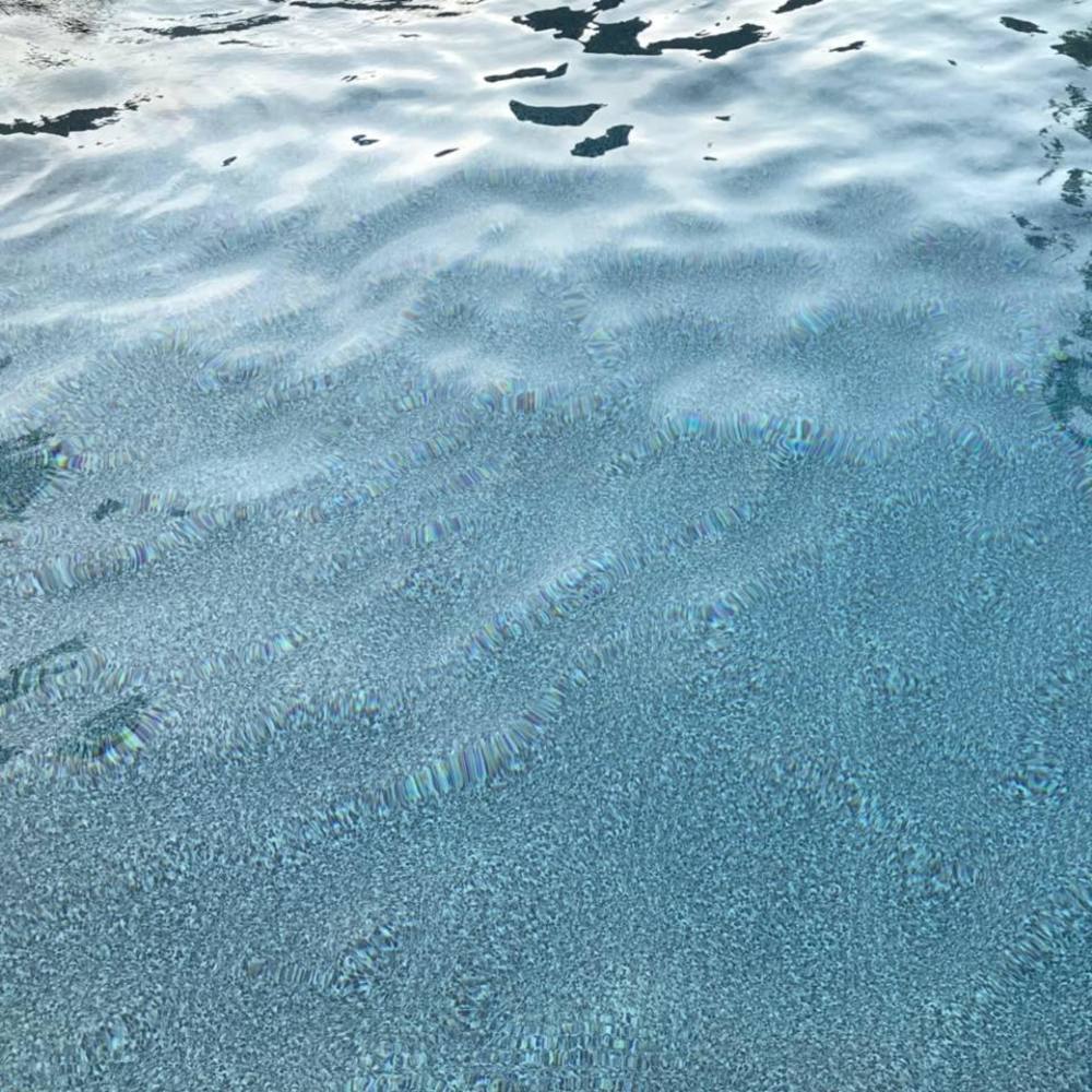 Meet your Posher, Jana